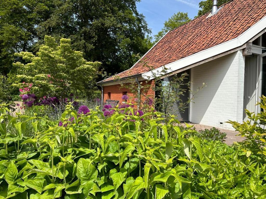 Haystackcottage Paterswolde Exteriér fotografie