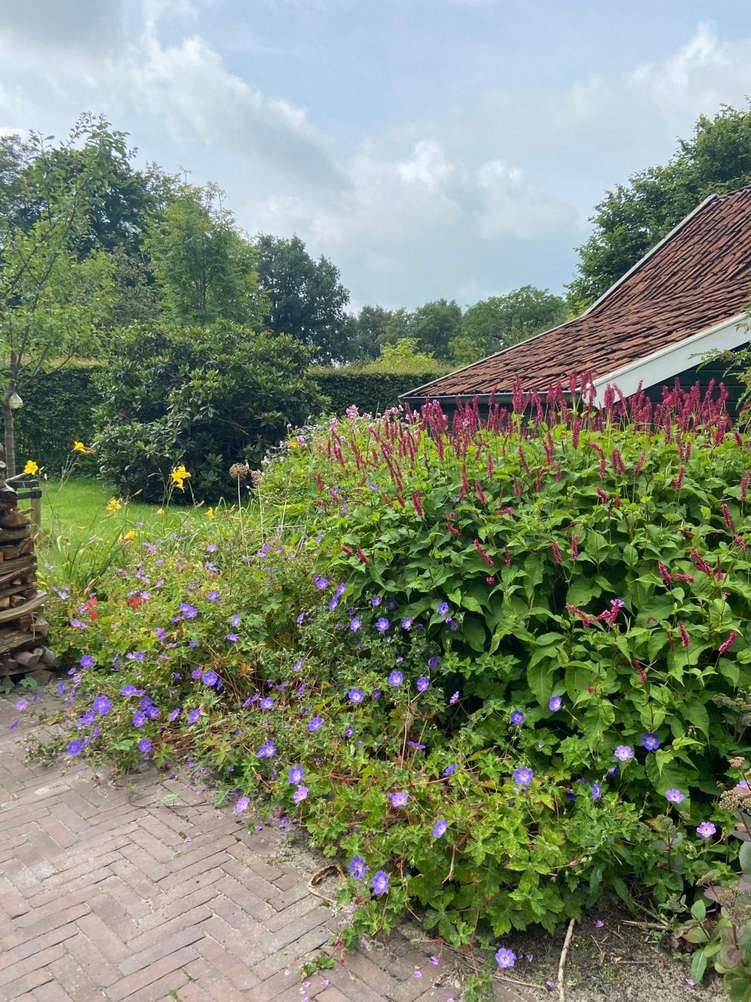 Haystackcottage Paterswolde Exteriér fotografie